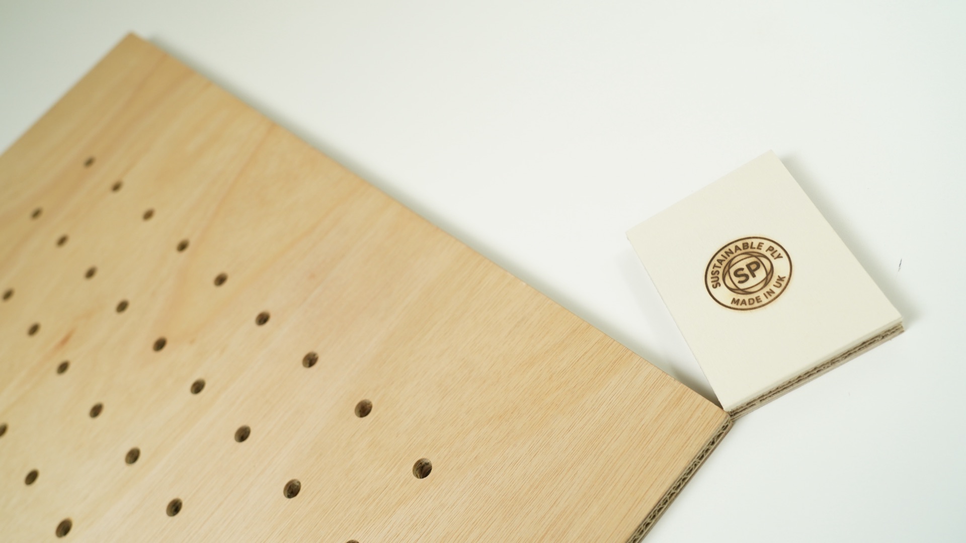 Close-up of a perforated acoustic Sustainable Ply panel with circular boring on a grid